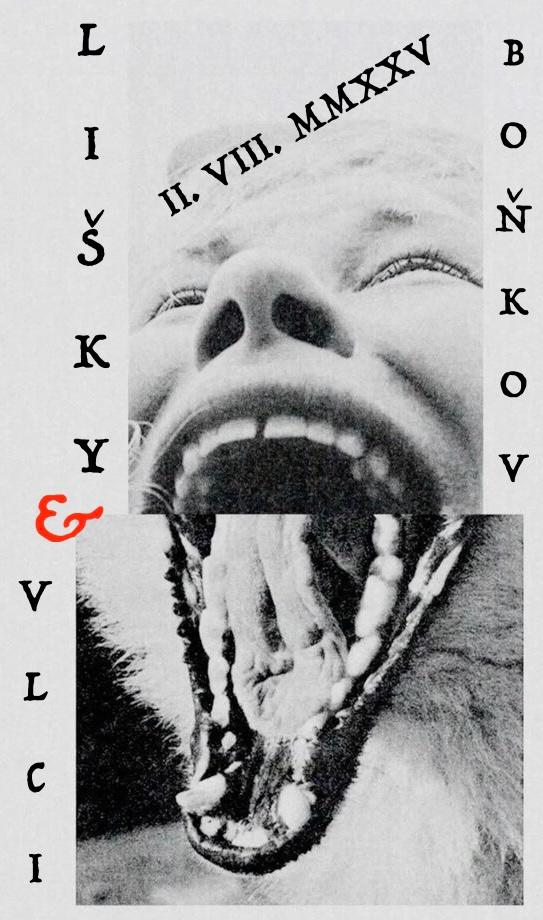 Lišky & Vlci | Boňkov